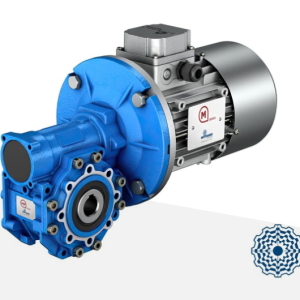 MOTOVARIO" Worm gear reducers and combined units SW - ISW