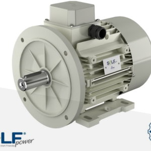 MOTOVARIO"  SELF POWER Self-starting synchronous motor TP-SL/TBP-SL TSP-SL/TBSP-SL