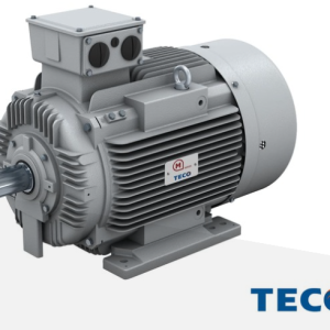 MOTOVARIO"  IEC cast iron motors AESV-AESU